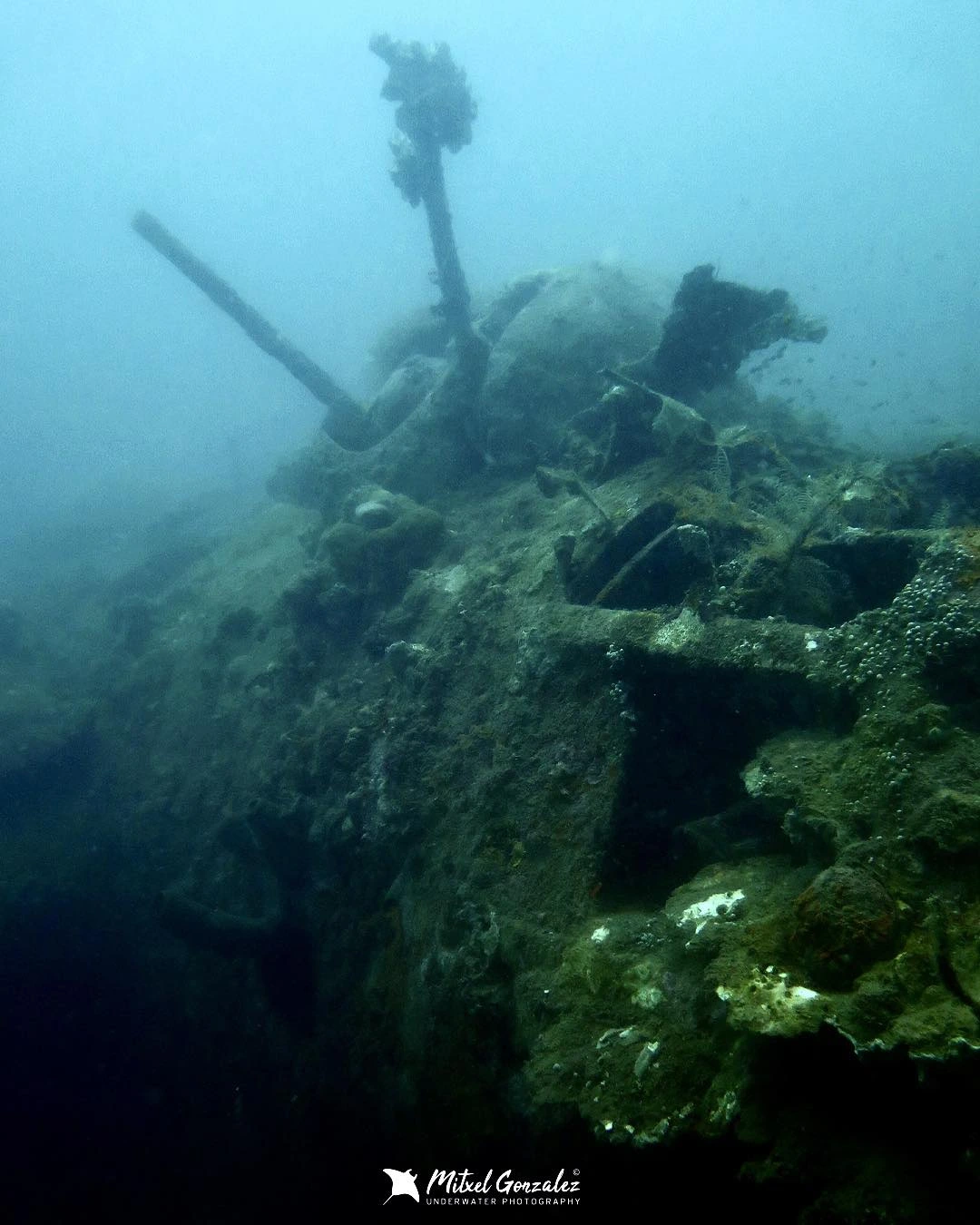 B-24 Liberator wreck at 18 meters