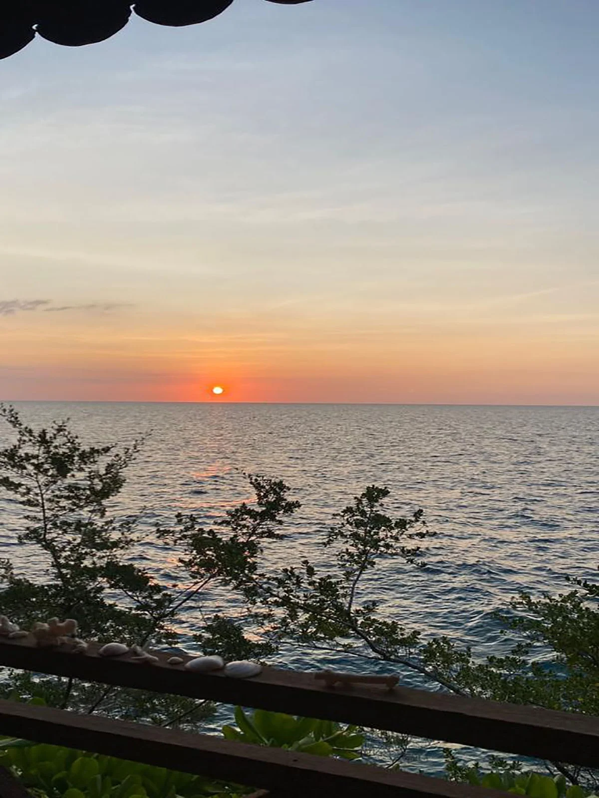 Sunset viewpoint treks through island forests