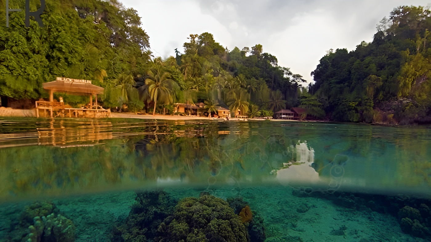 Private beach picnics in untouched coves
