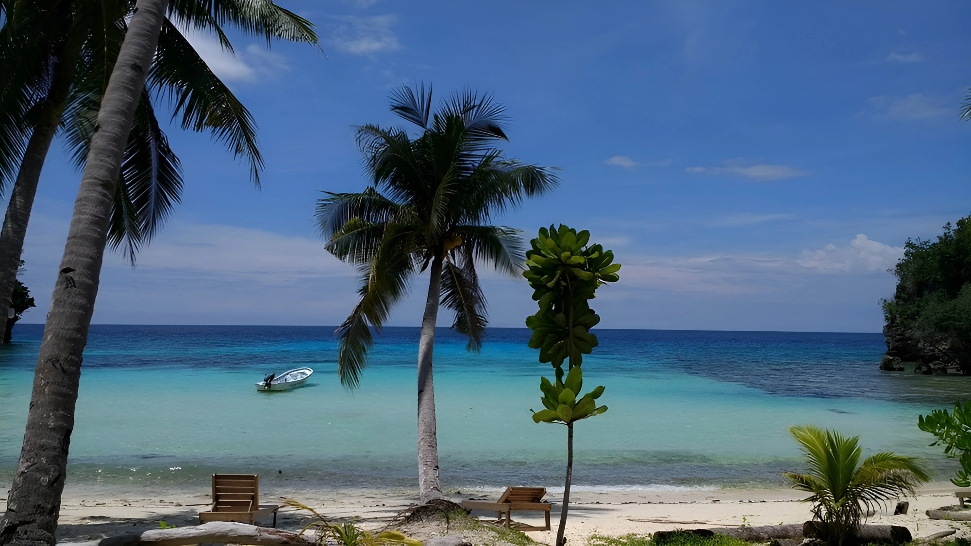 Morning dives and Malenge transfer