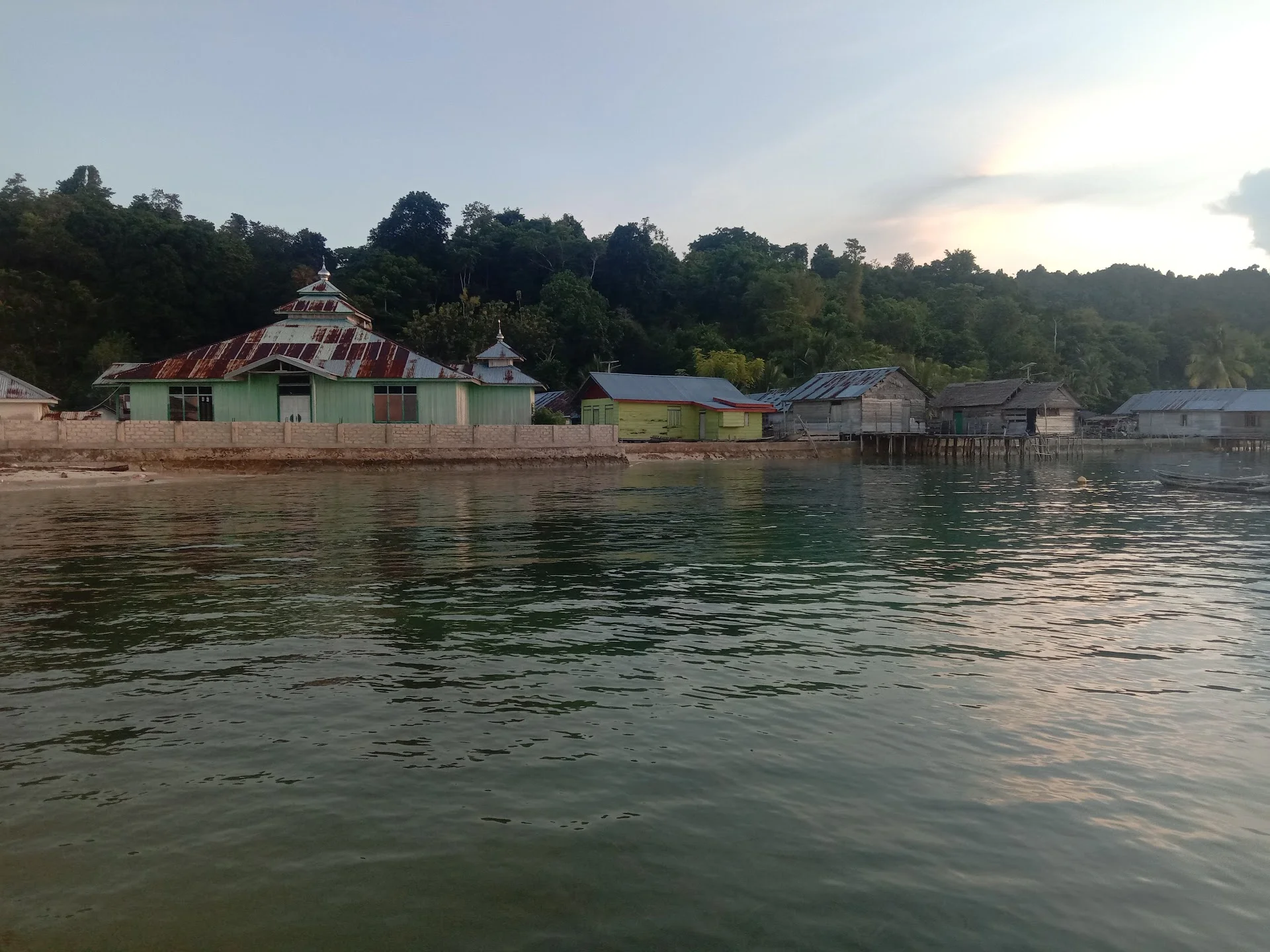 Lush tropical jungle path